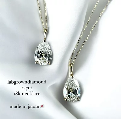 imgrc0101509549-1
